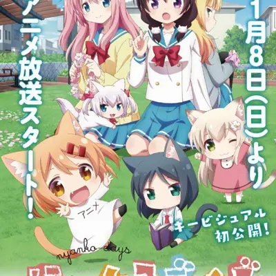 猫咪日常